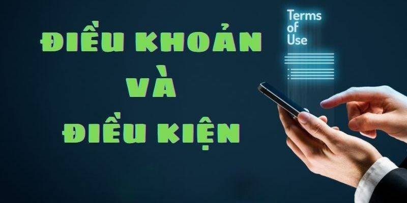 Điều khoản sử dụng H3BET