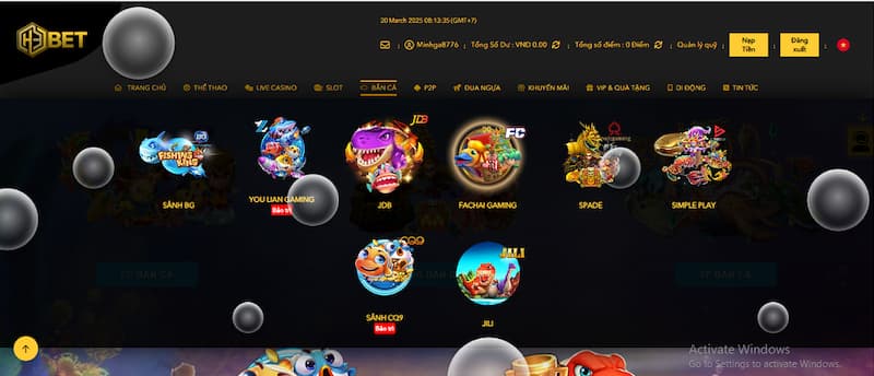 Đối tác liên kết H3BET